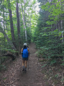 Hiking Lincoln Woods Trail