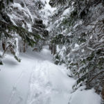 Edmands Path Snowshoe Trail