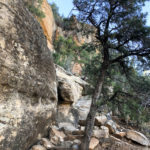 Mesa Verde_Petroglyph Point Trail