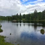Pond on Bartlett Gulch Hike