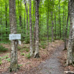 Start of Liberty Spring Trail