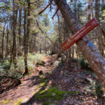 Mt. Abraham trail sign