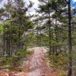 Crawford-Ridgepole Trail