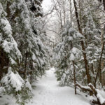 Mount Kinsman Trail