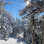 Beautiful section of Kinsman Ridge Trail
