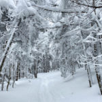Garfield Ridge Trail