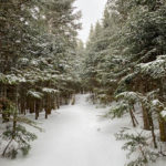 Unbroken trail