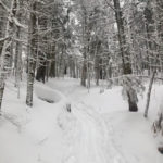 Webster-Jackson Trail in winter