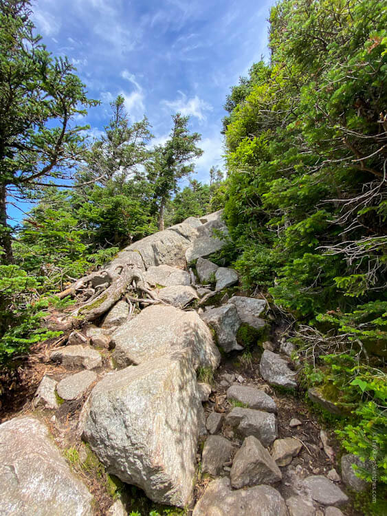 Steep rocky section in summer