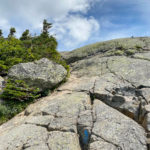 Slab section in summer