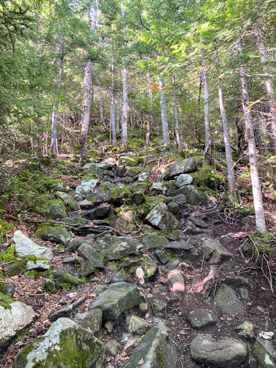 steep rocky trail