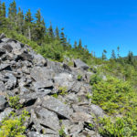 Rock slide area hiking trail