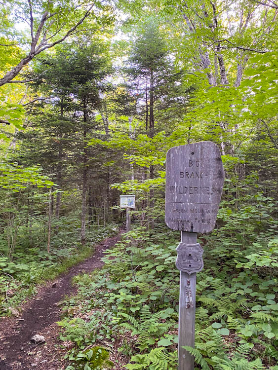 Big Branch Wilderness sign