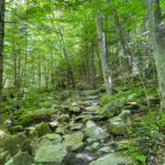 Rocky climb hiking trail