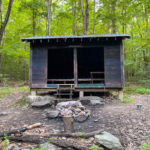 Minerva Hinchey Shelter