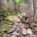 Steep, rocky, and rooty trail