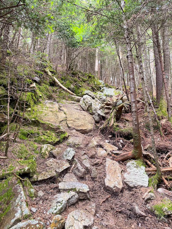 Steep, rocky, and rooty trail