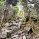Steep trail to Killington Peak