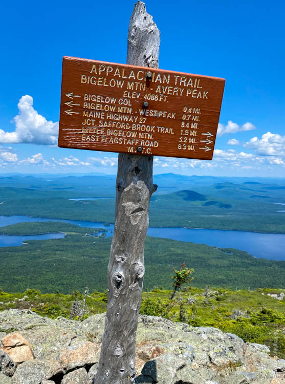 Avery Peak summit sign