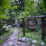 Trailhead at Roaring Brook Campground