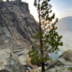 Top of Yosemite Falls