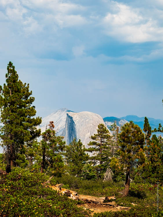 Just a peek at Half Dome through the trees