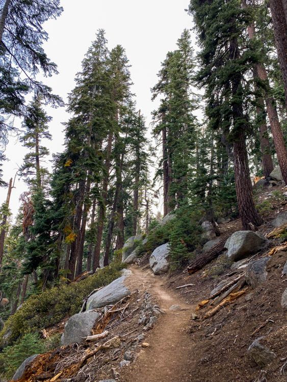 Steeper switchback section