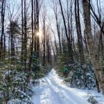 Flat hiking trail in winter