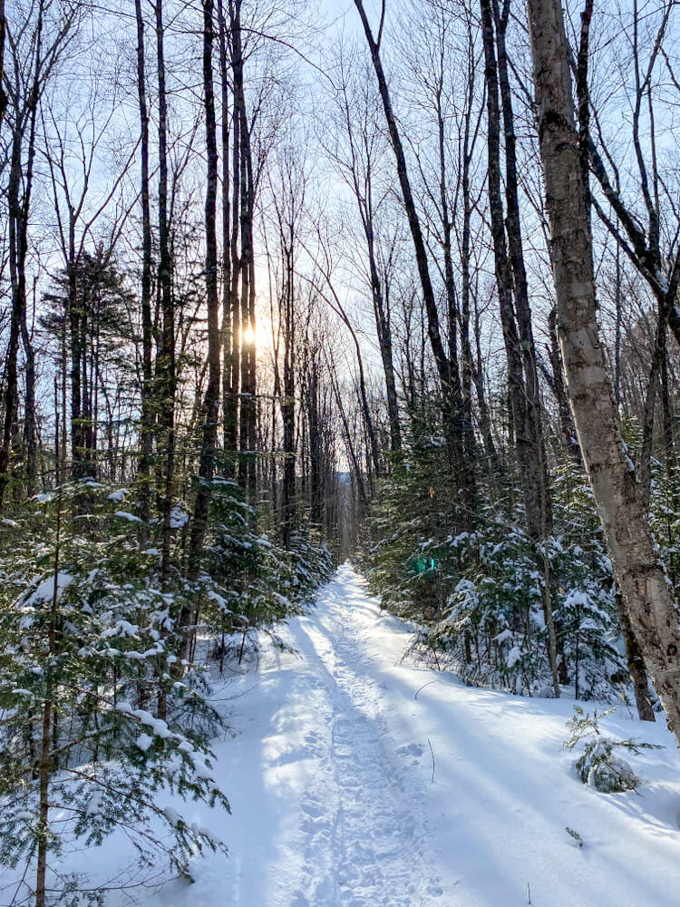 Flat hiking trail in winter