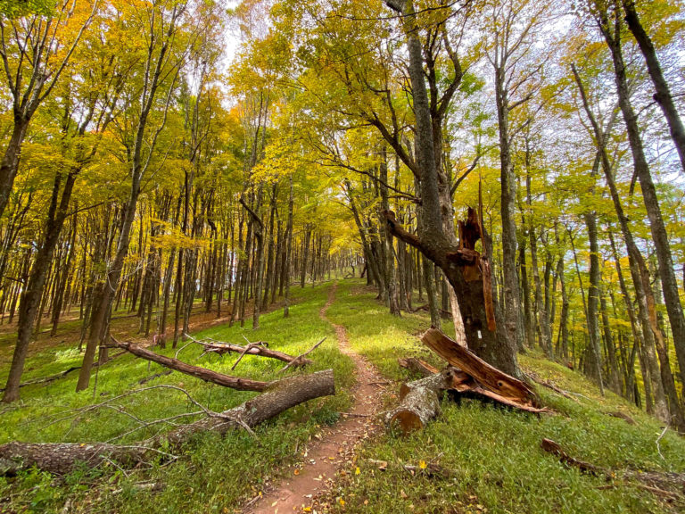 Deciding to Thru-hike the Appalachian Trail as a Flip-flop