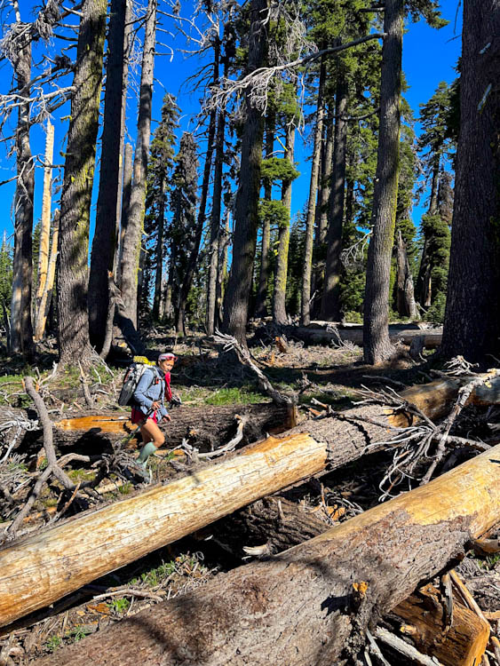 Days 6-12 On The Pacific Crest Trail: California Sections O And Q ...